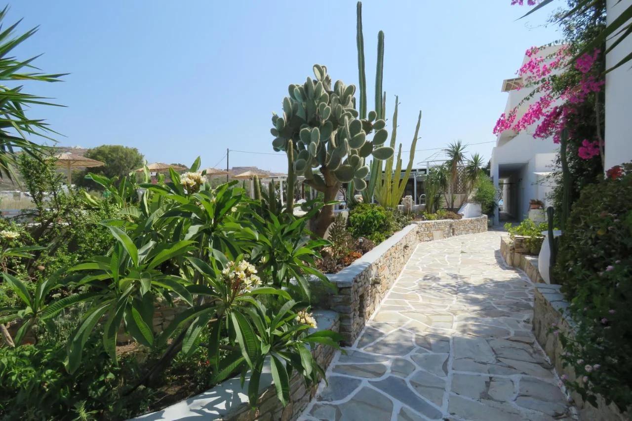 Corali Beach Hotel photo