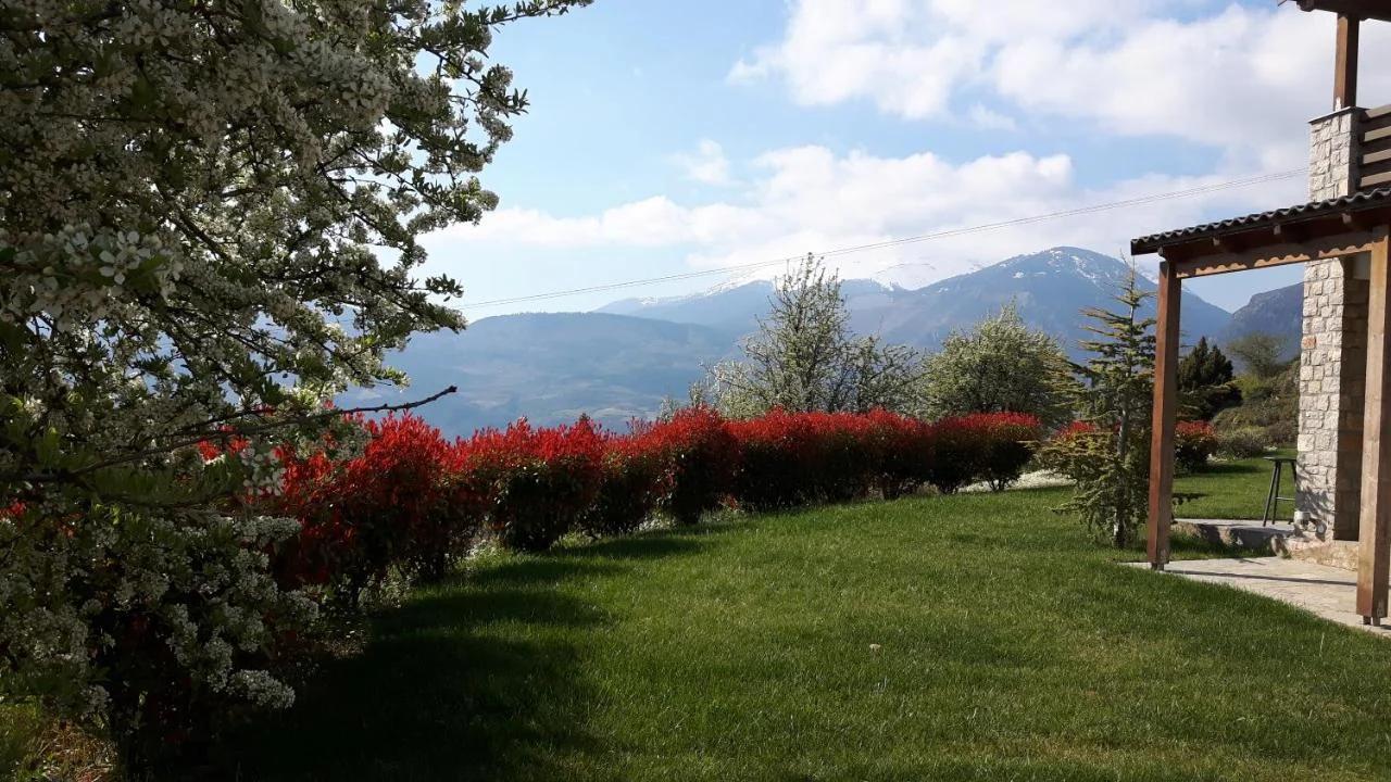 Guesthouse Diochri photo
