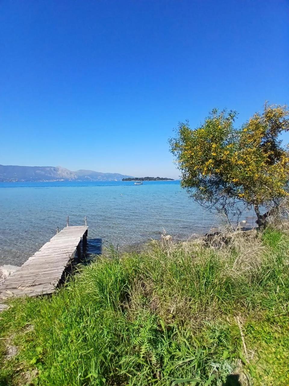 Ioana Sea View photo