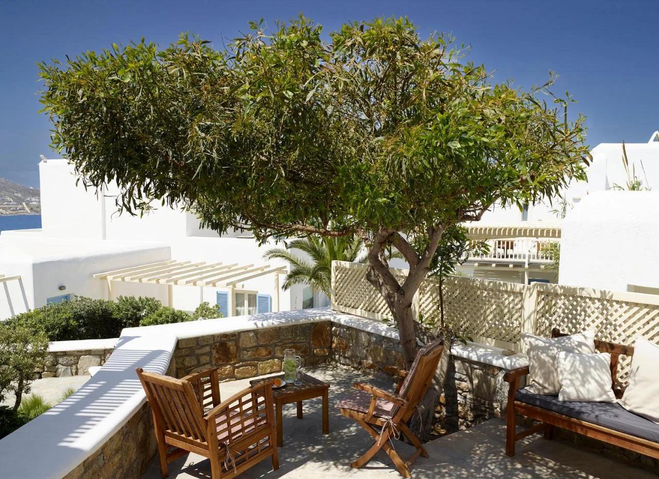 Vencia Boutique Hotel photo