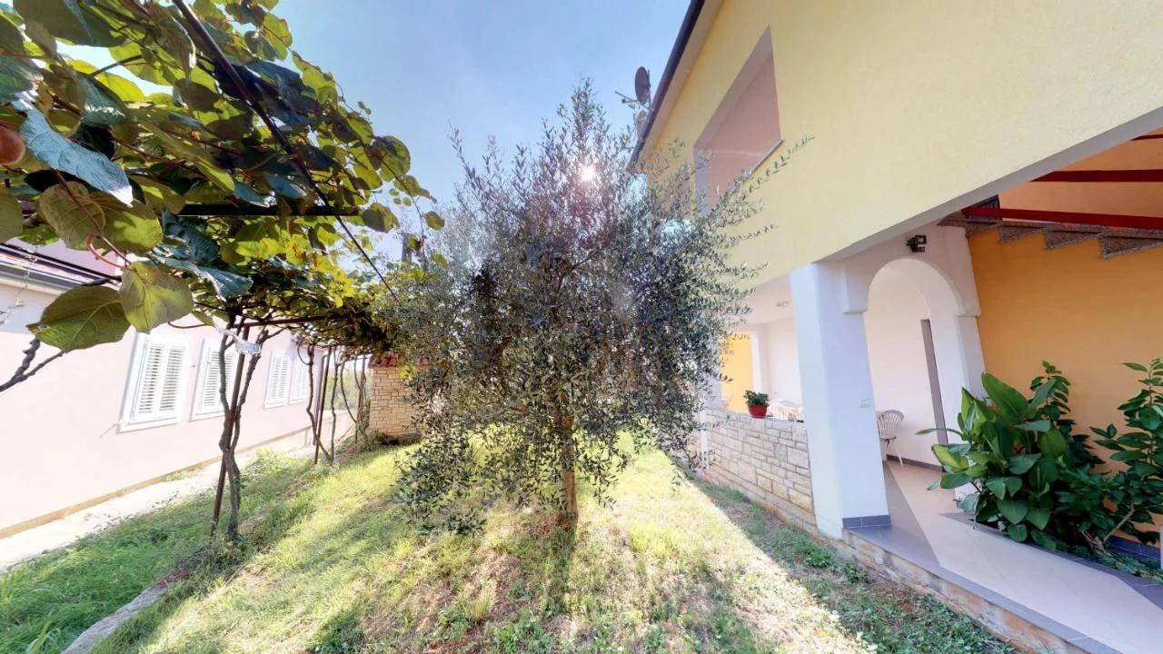 Apartments Goga photo
