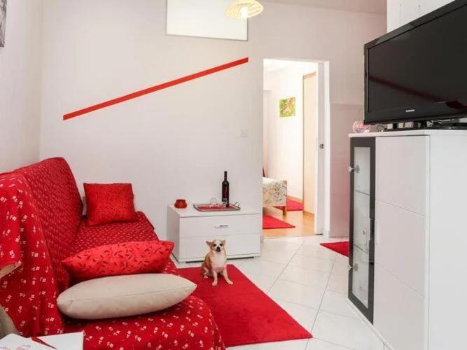 Apartments Pojko - Standard One-Bedroom Apartment with Terrace Red photo