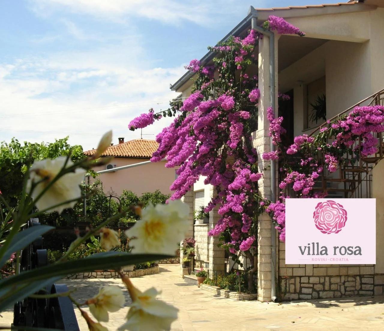 Apartments Villa Rosa photo