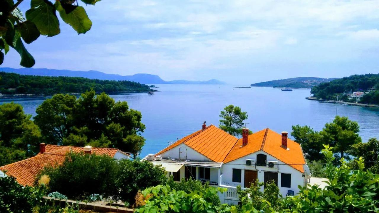 Apartments Vukas photo