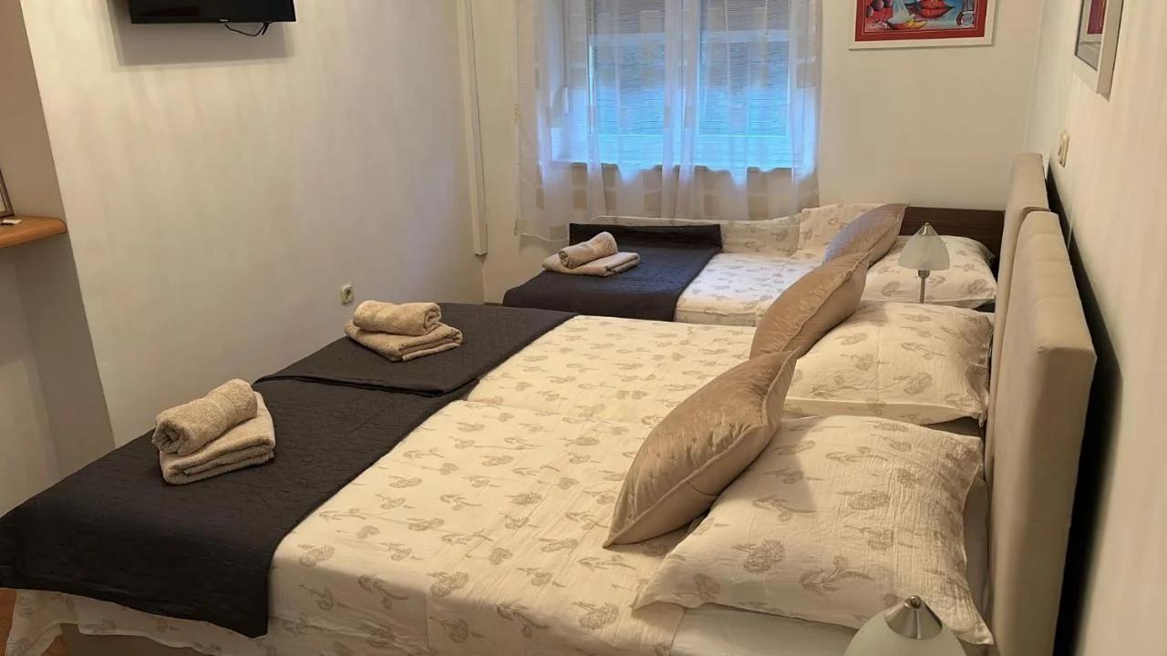 Blue Tree Rooms photo