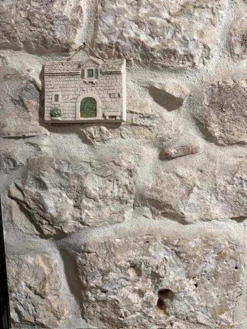 Dragazzo studio foto