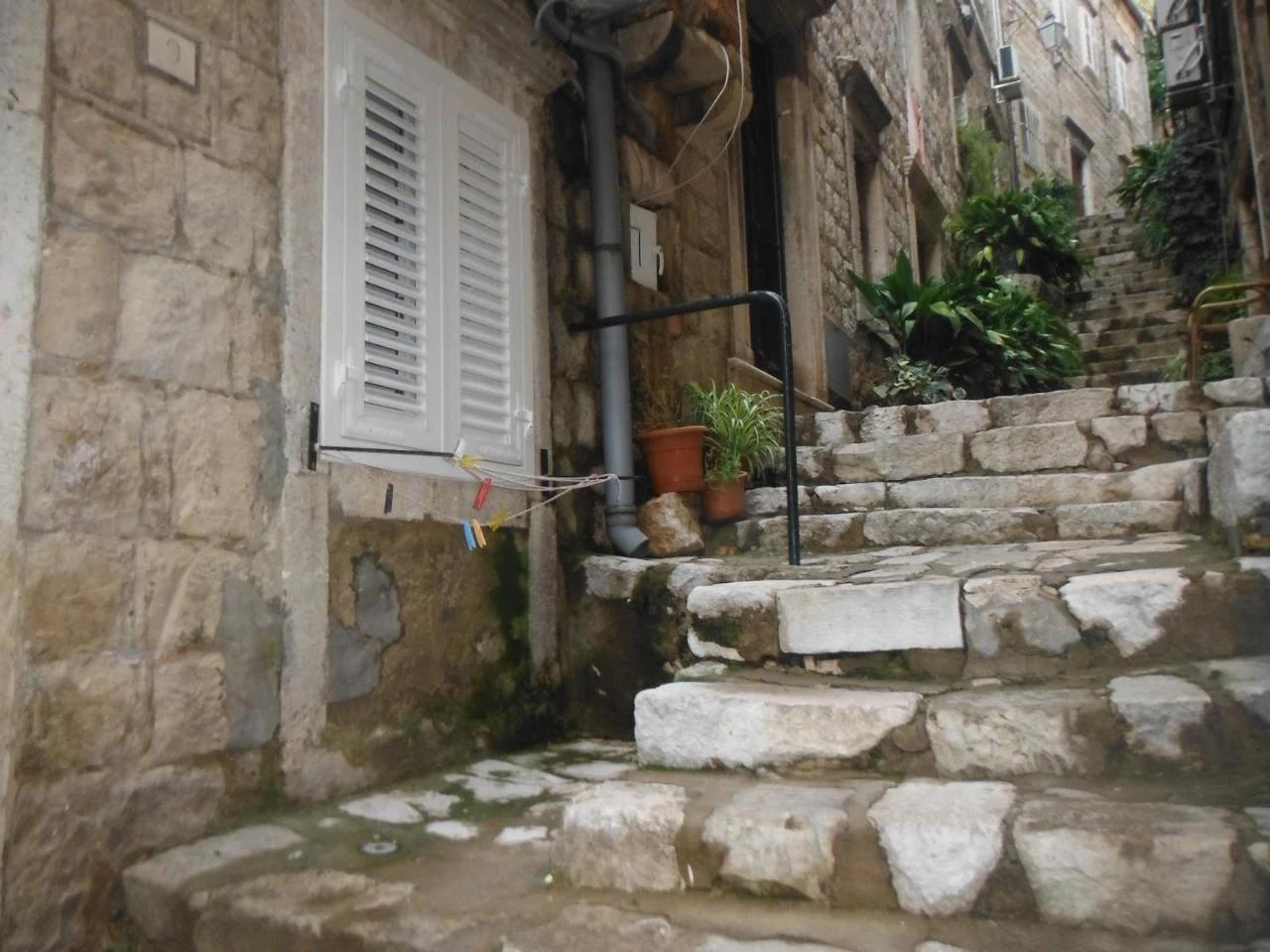 Guest House Tomasi photo