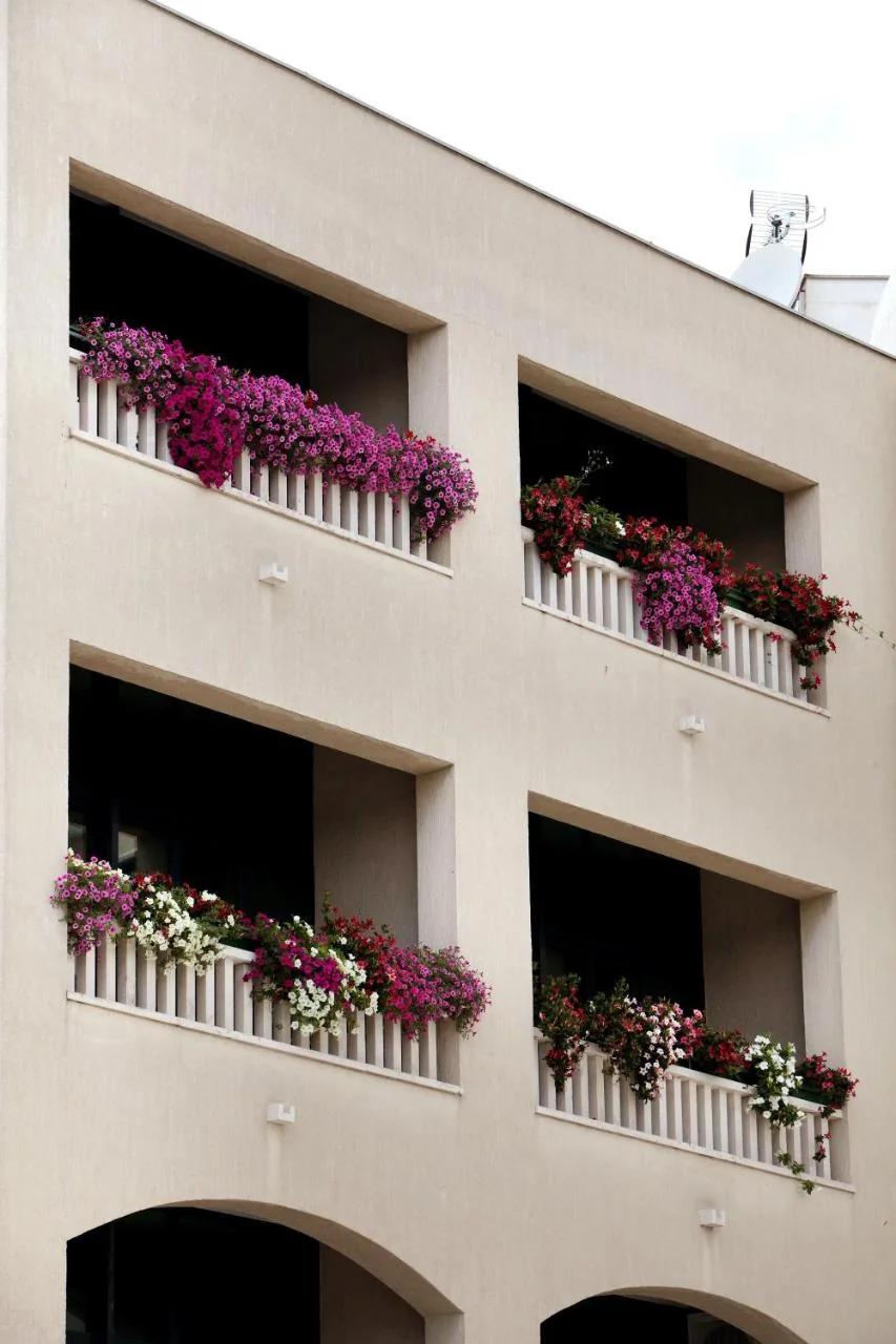 Hotel Bellevue Trogir photo