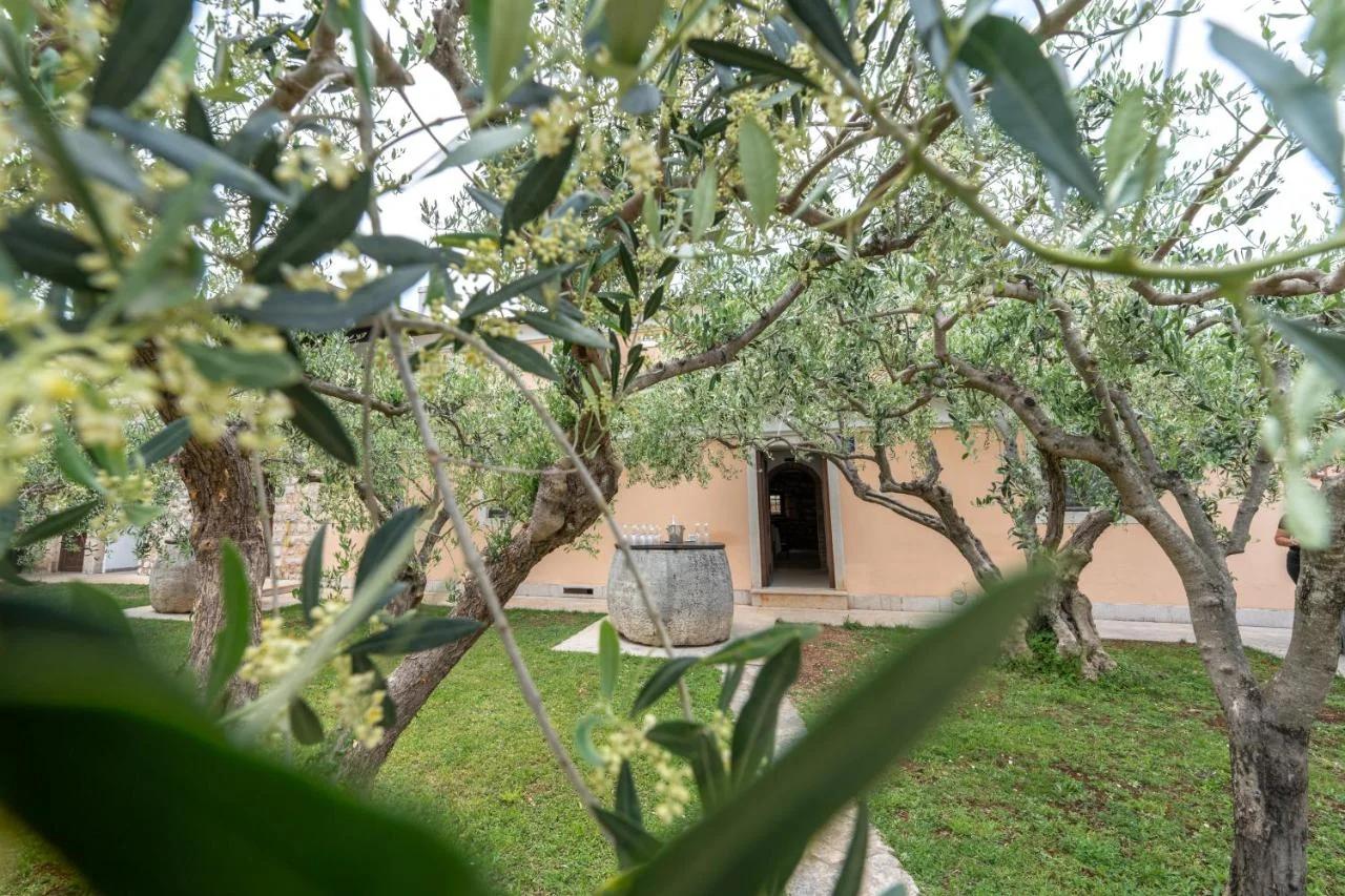Hotel Maslina photo