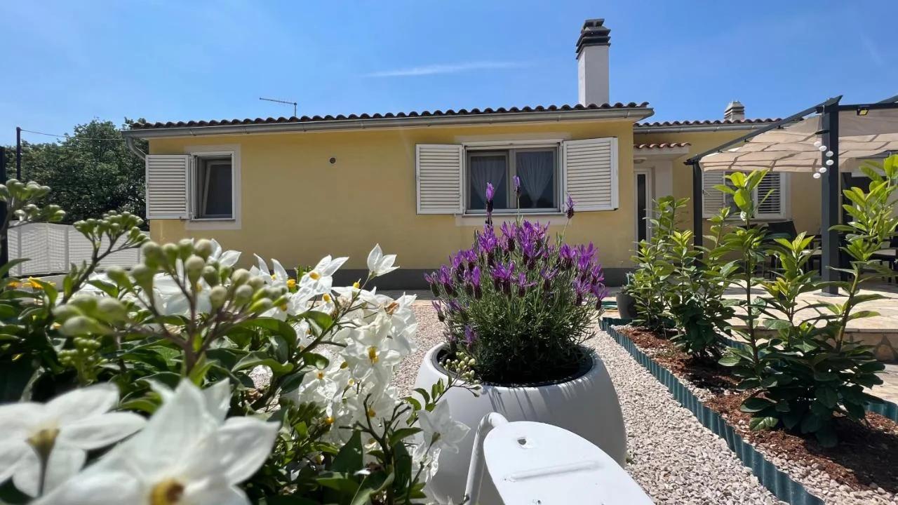 House Roca photo