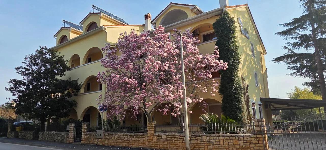 Villa Kristina photo