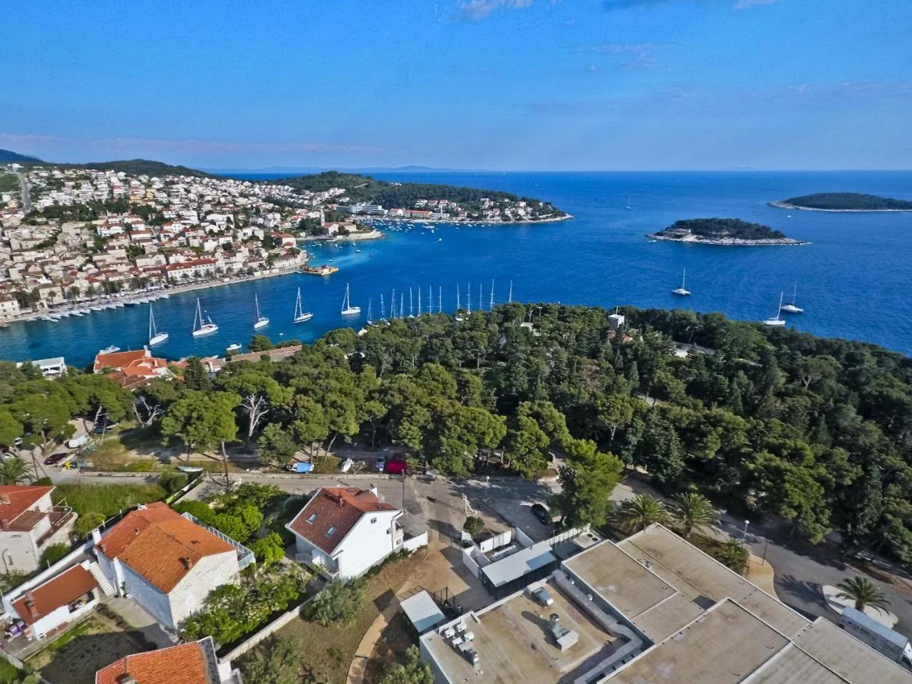 Violeta Hvar photo