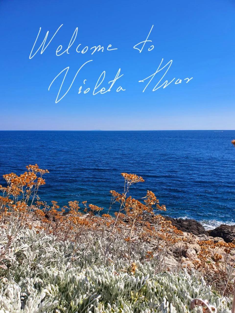 Violeta Hvar photo