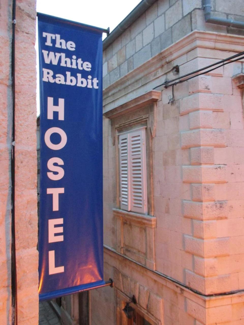 White Rabbit Hostel photo
