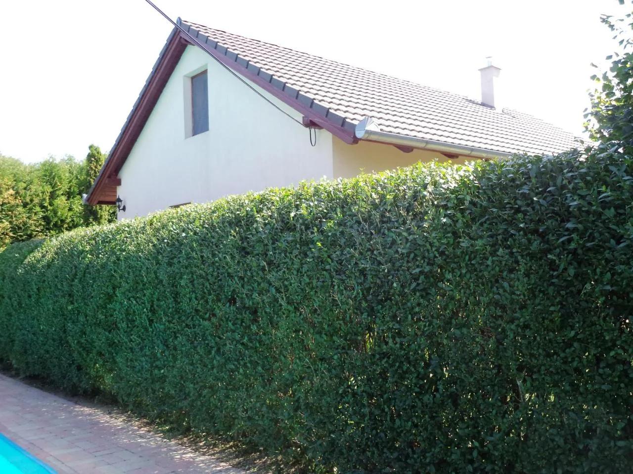 Kinga House photo
