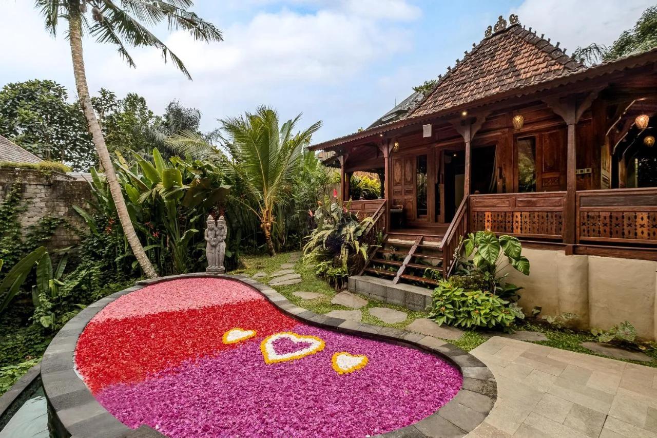 Andara Ubud Villa photo