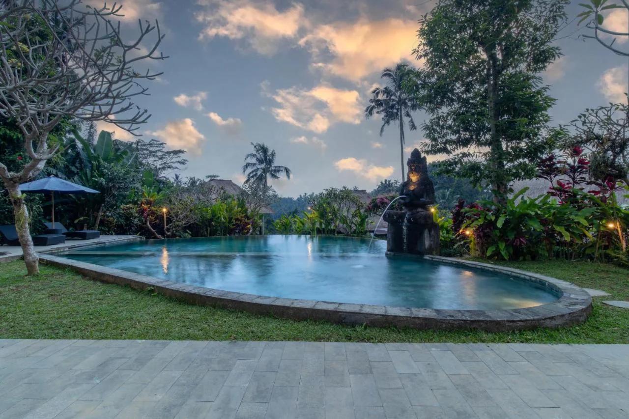 Anima Villa Ubud photo