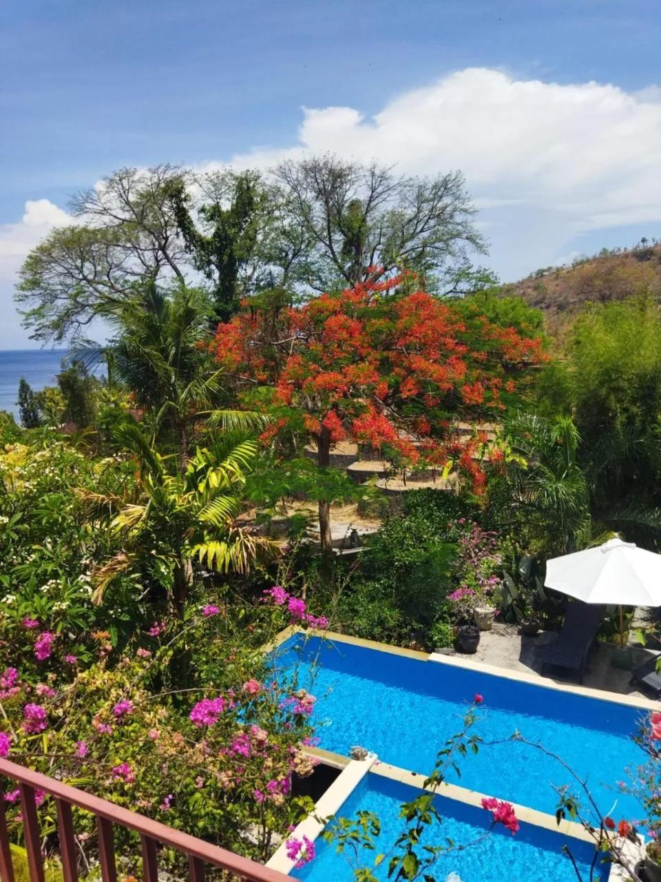 Bali Marina Villa's - Amed photo