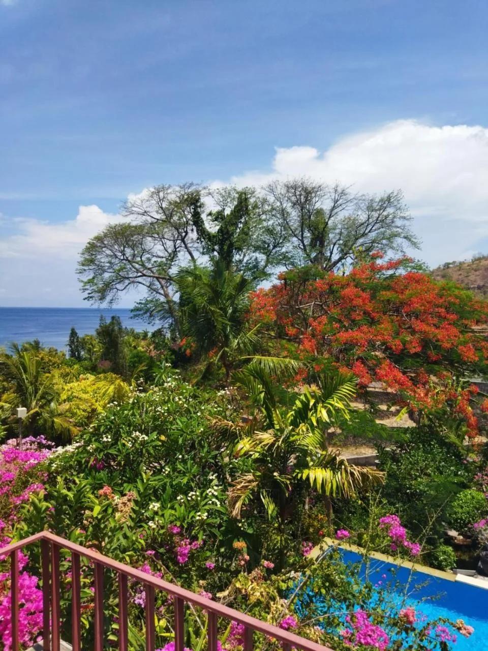 Bali Marina Villa's - Amed photo