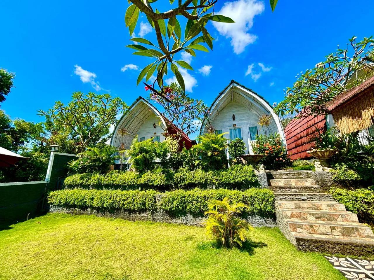Hotra Hill Cottage photo