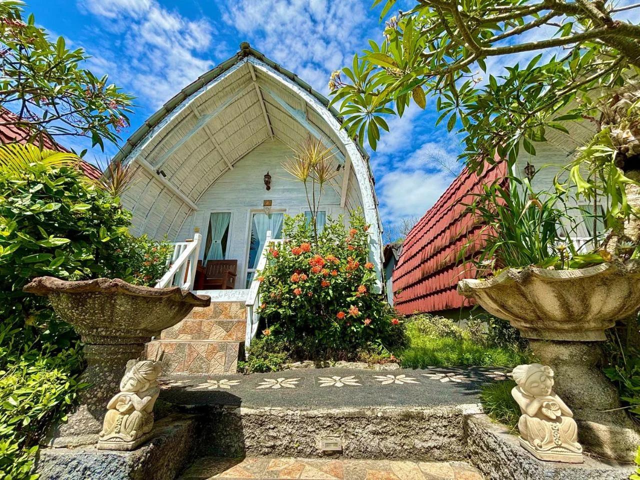 Hotra Hill Cottage photo