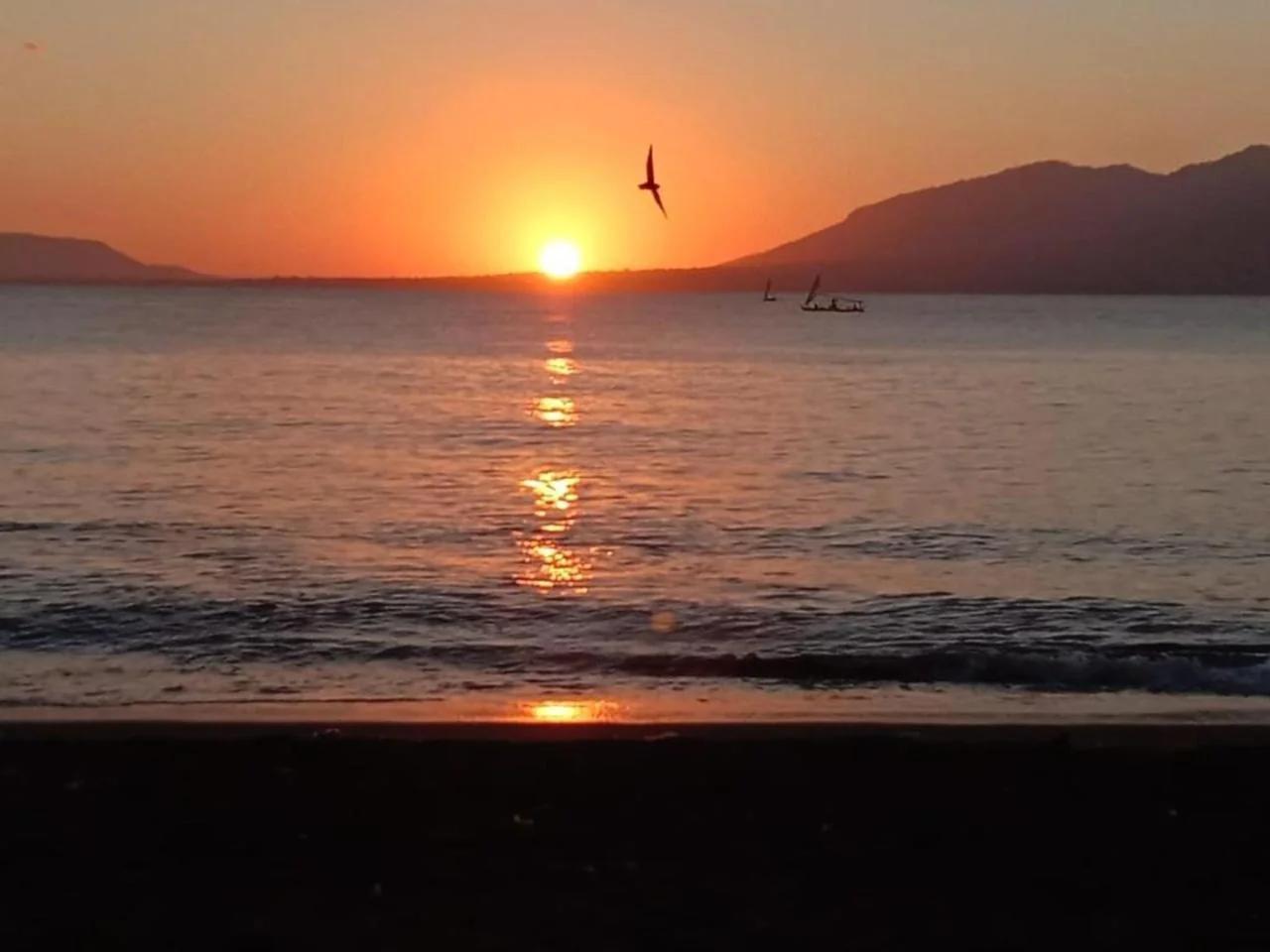 Sunrise Banyuwangi Homestay photo