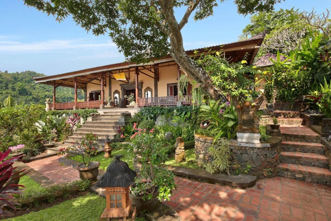Villa Patria photo