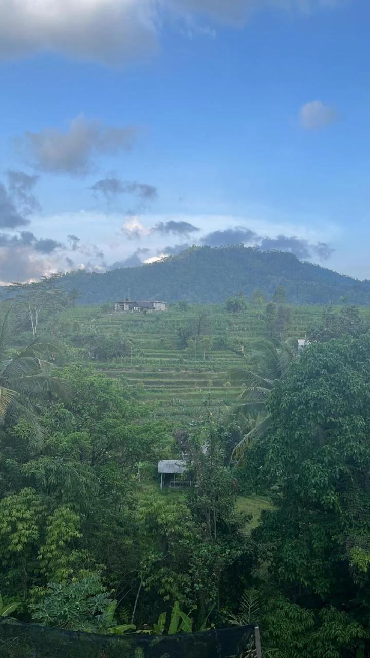 Wayan Bola Homestay photo
