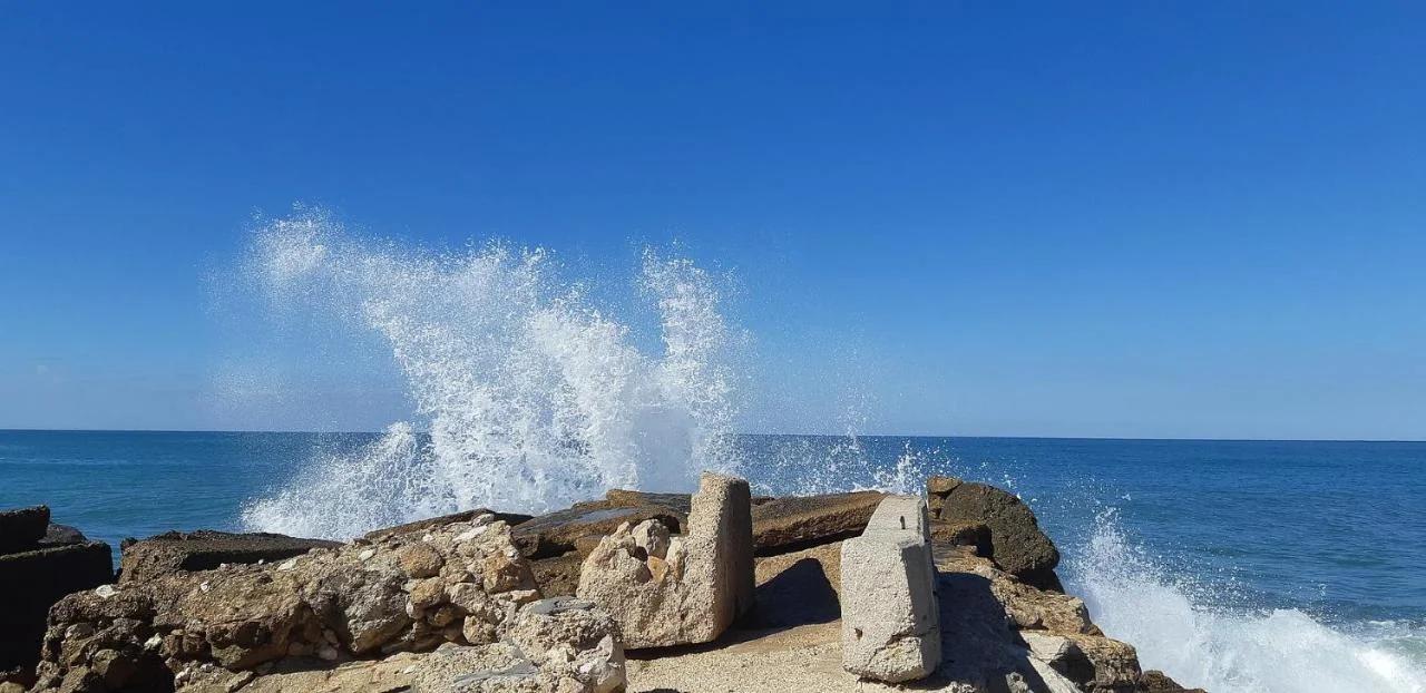 Etis garden seafront photo