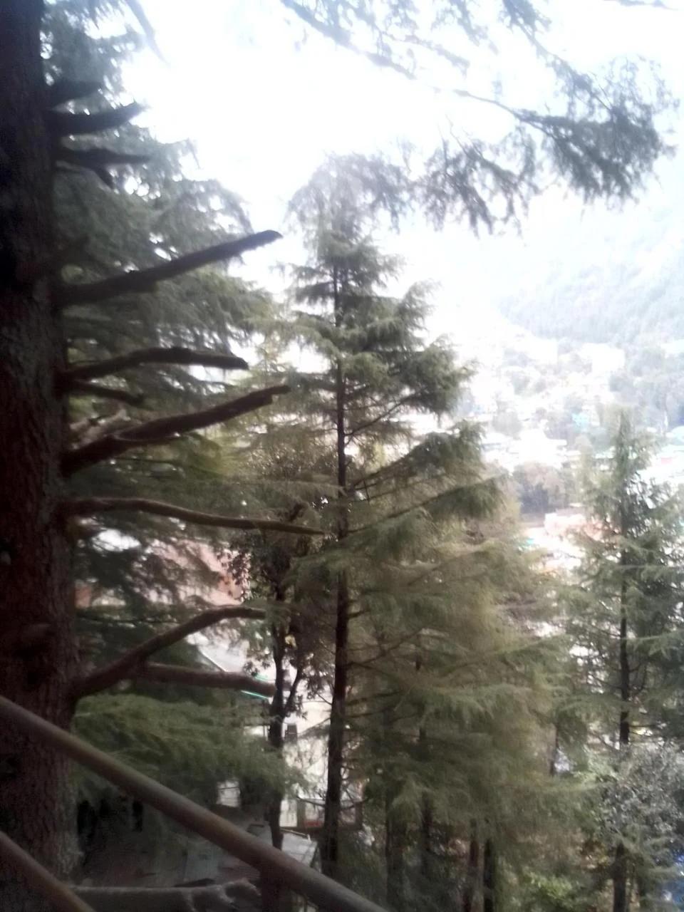 HIMALAYAN Triund Trekking and Snowline Trekking, Waterfalls View Hostel photo