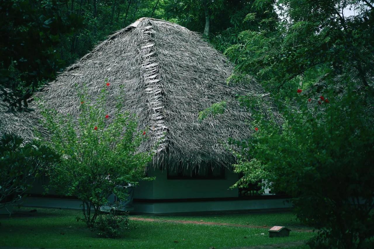 Marari Beach Resort Alleppey - A CGH Earth Experience photo