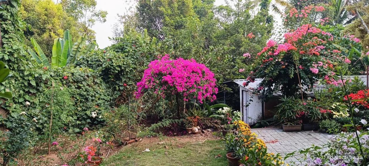 Nadackal Nature County photo