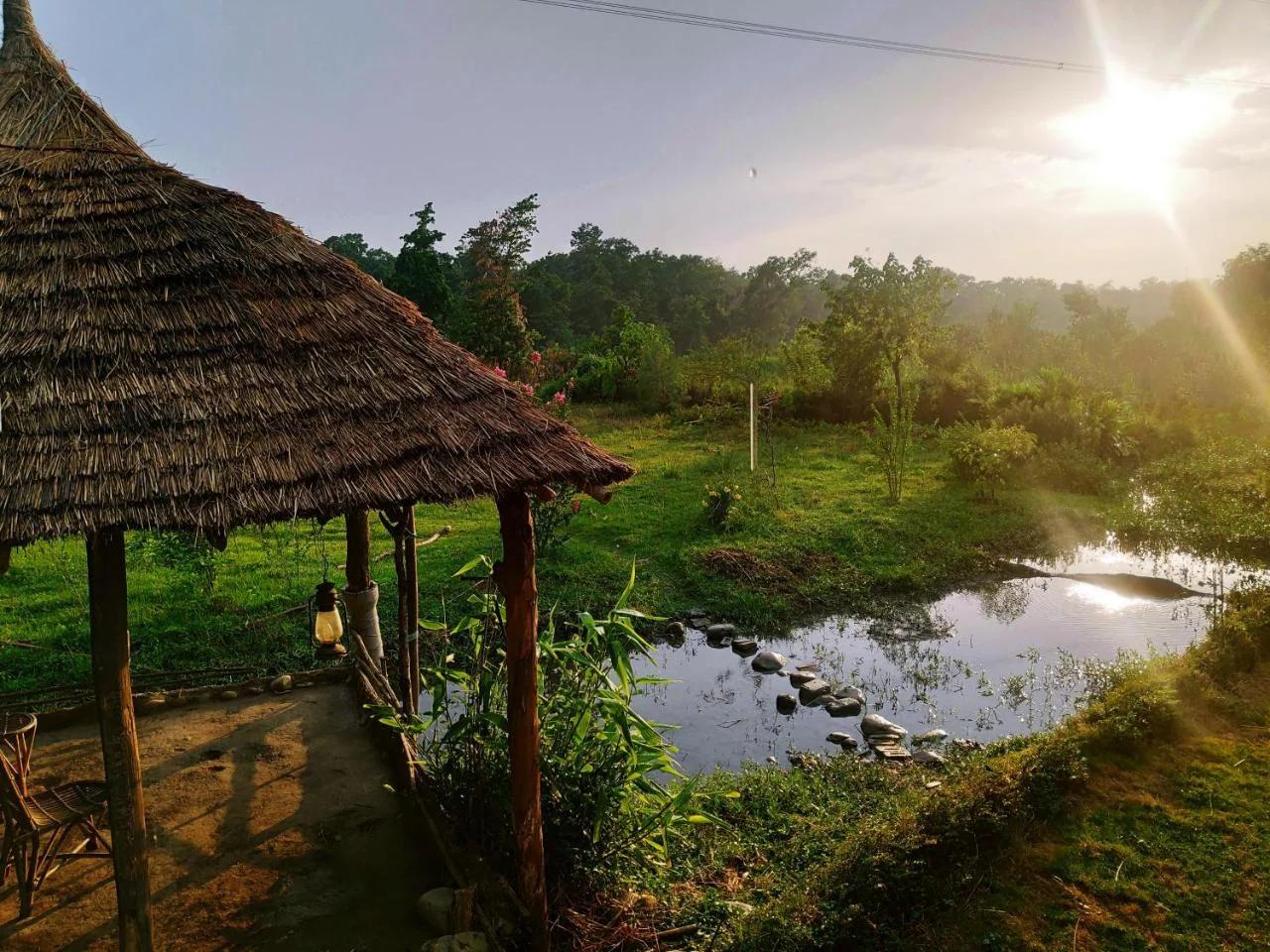 Nature Care Village Farmstay- Rajaji National Park foto
