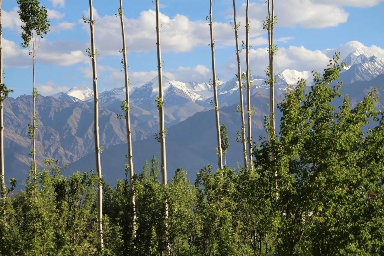 Raku Guest House - A Peaceful Stay in the Heart of Leh photo