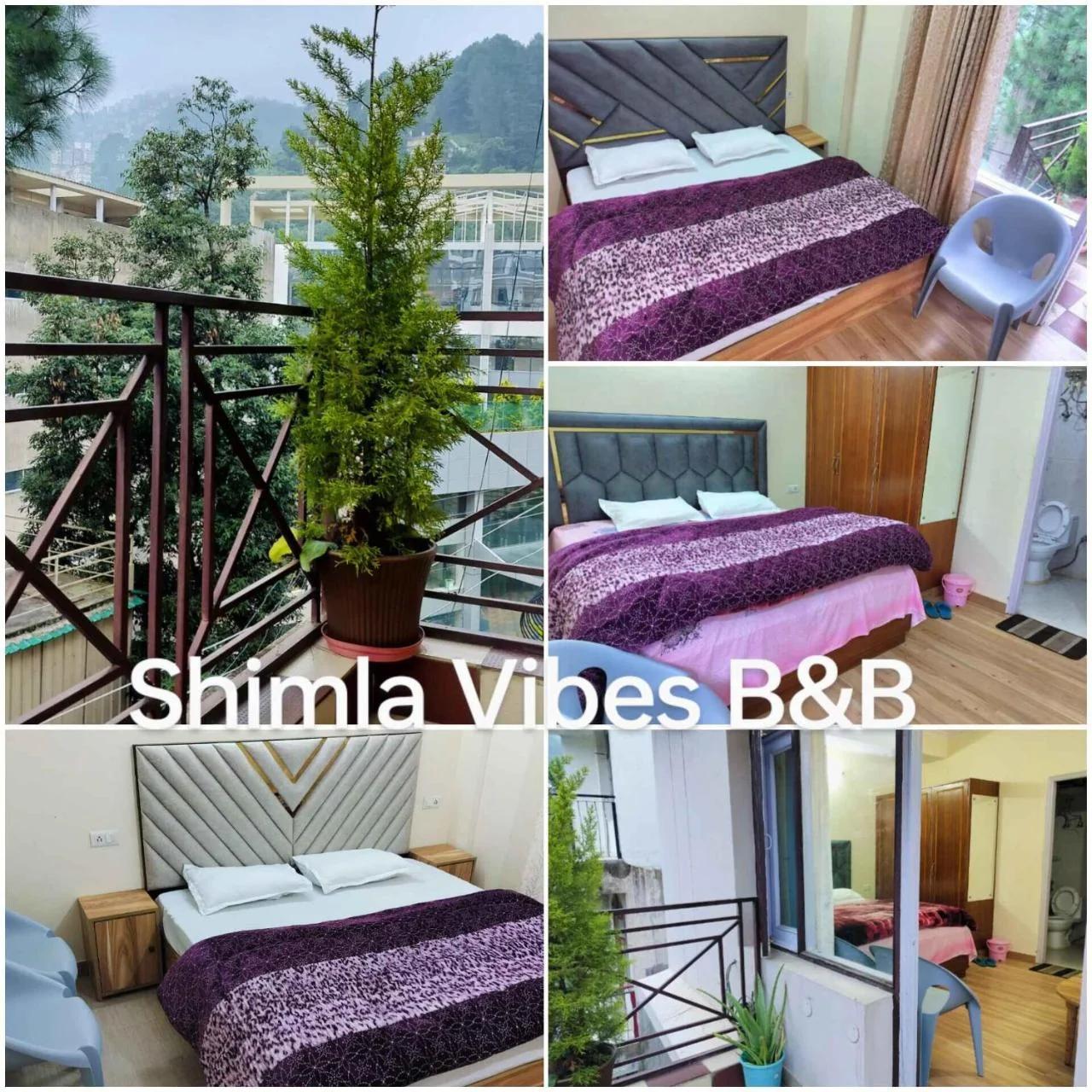 Shimla Vibes B & B free pick and drop from ISBT Shimla photo