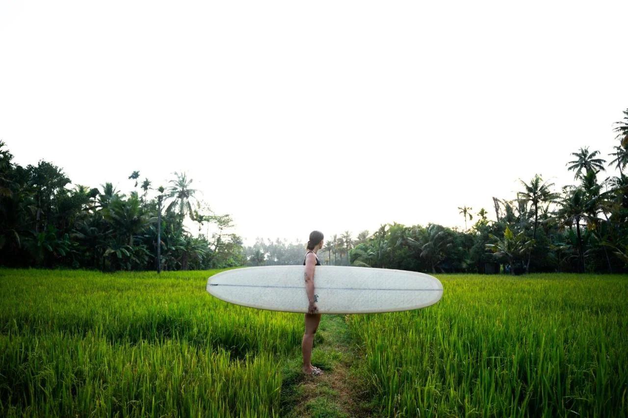 Utopia Varkala - Boutique stay in Odayam rice fields photo