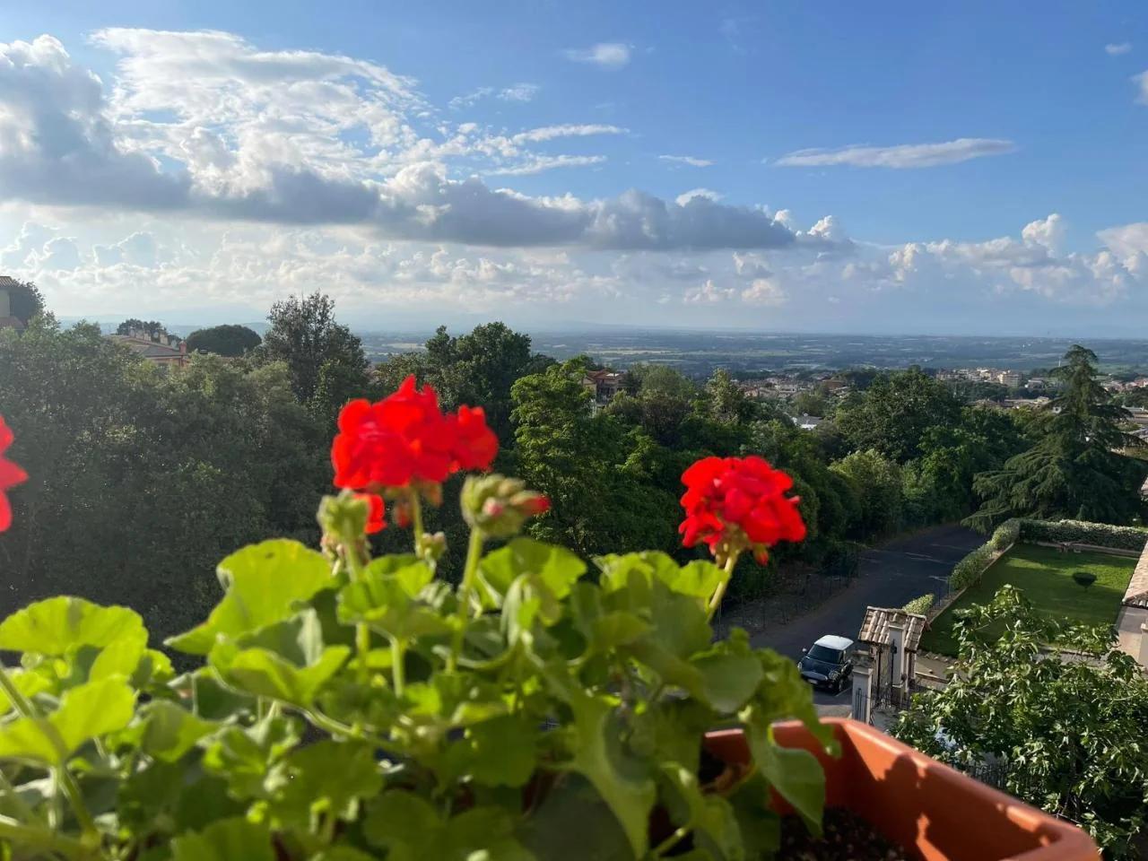 A casa di Miele photo