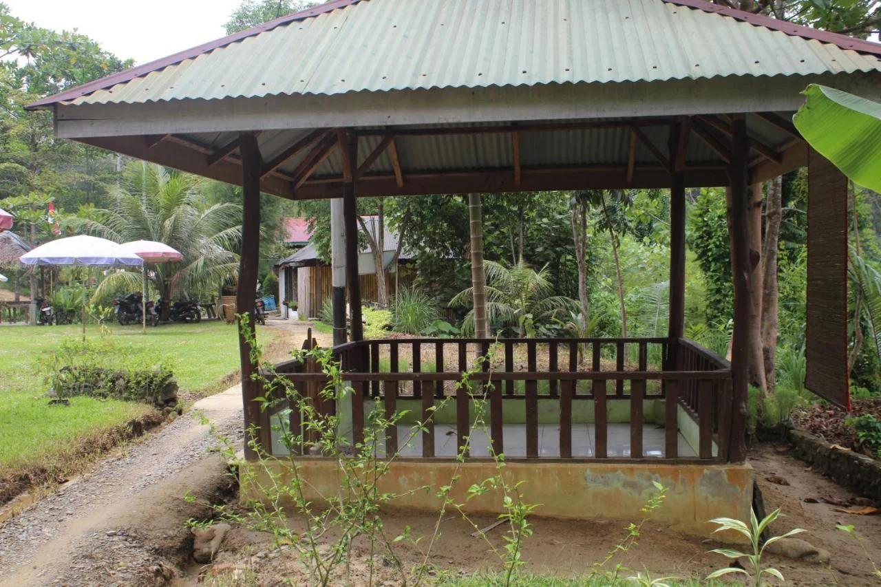 Bukit Lawang Backpacker JungleTrekking Only Booking with us photo