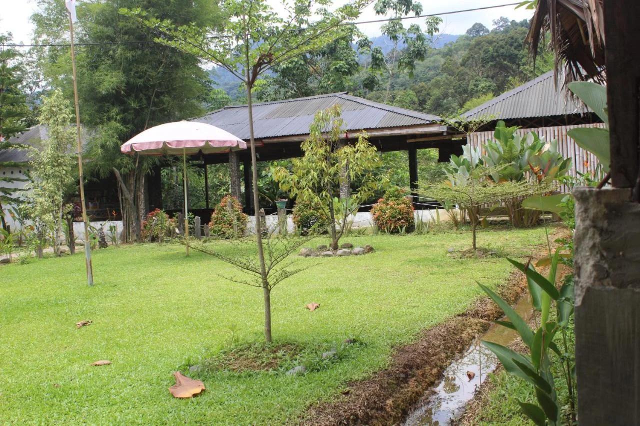 Bukit Lawang Backpacker JungleTrekking Only Booking with us photo