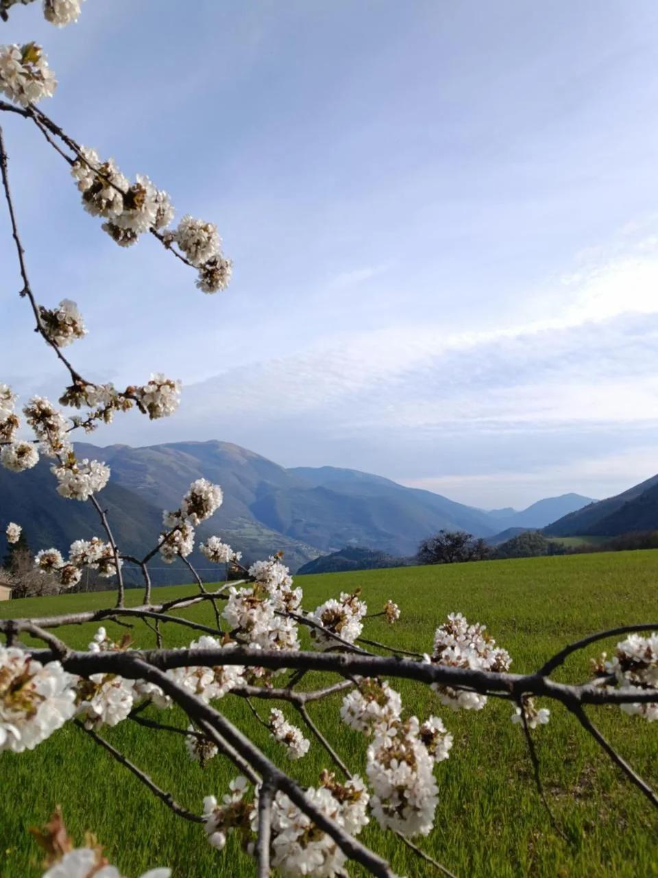 casa vacanze campagna in compagnia photo