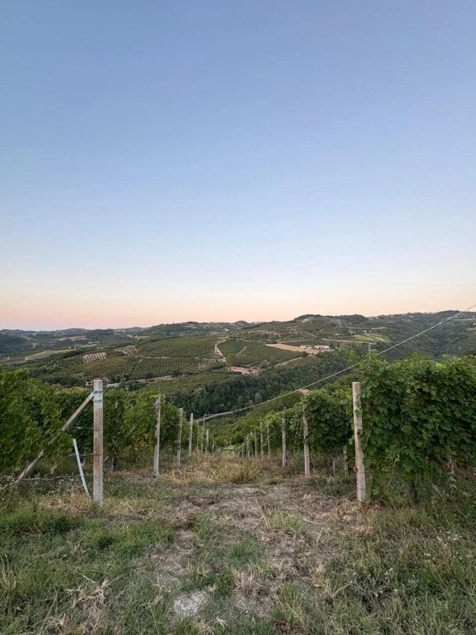 Cascina Calupo foto