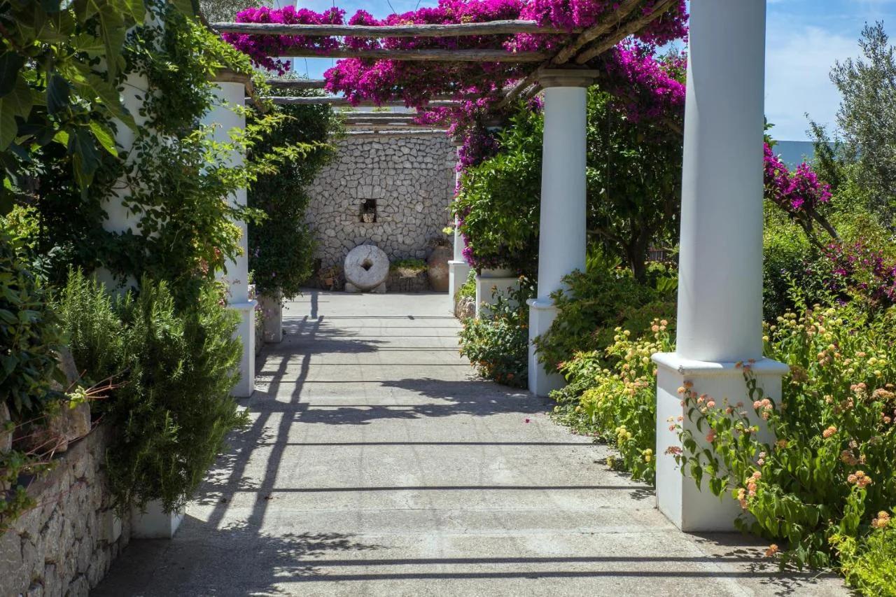 Hotel Al Mulino - Mediterranean Garden Retreat in AnaCapri photo