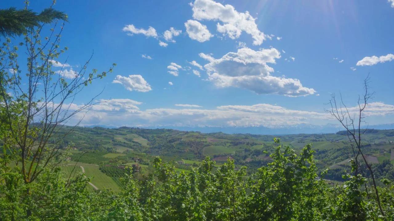 Il Biru foto