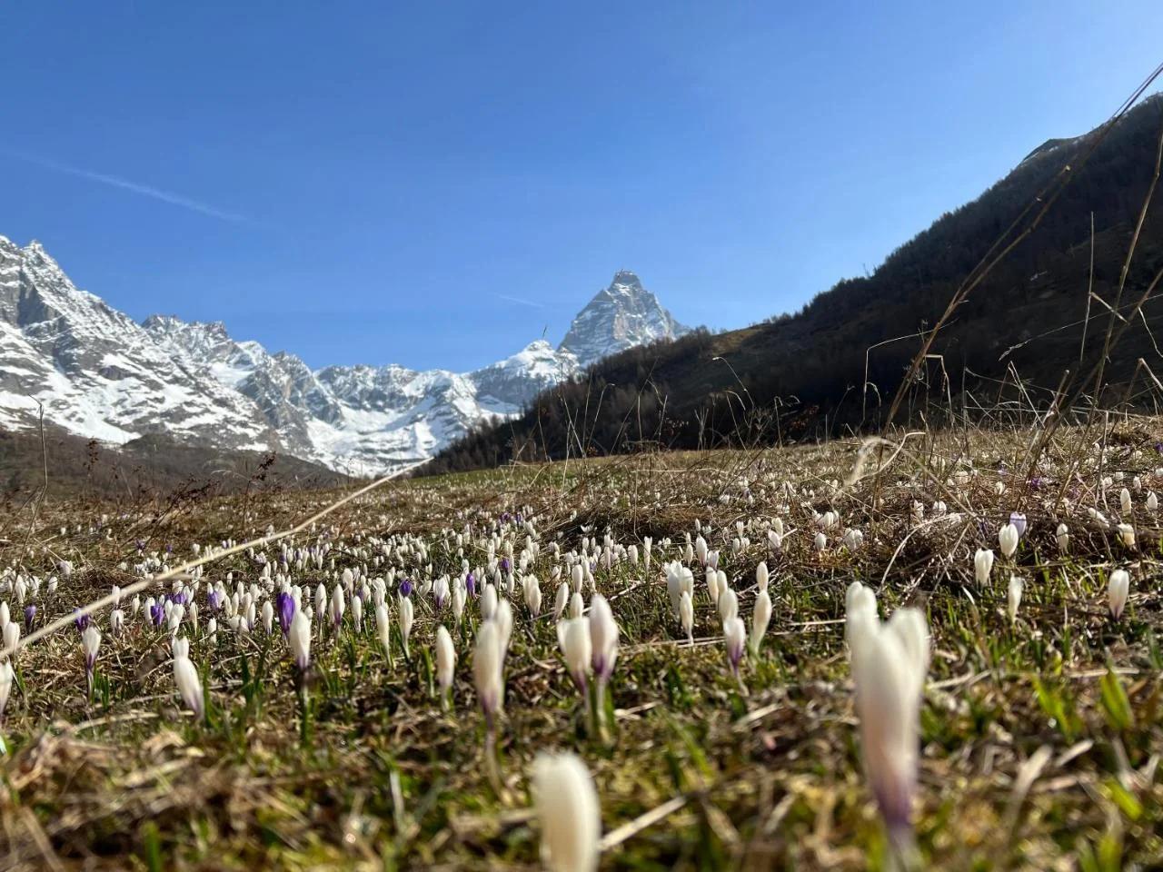 La Luge foto