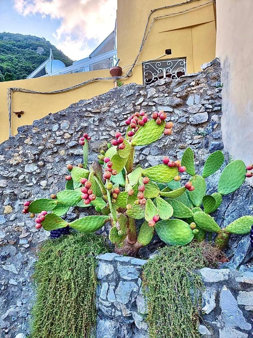 Marilù vacation home in Positano photo