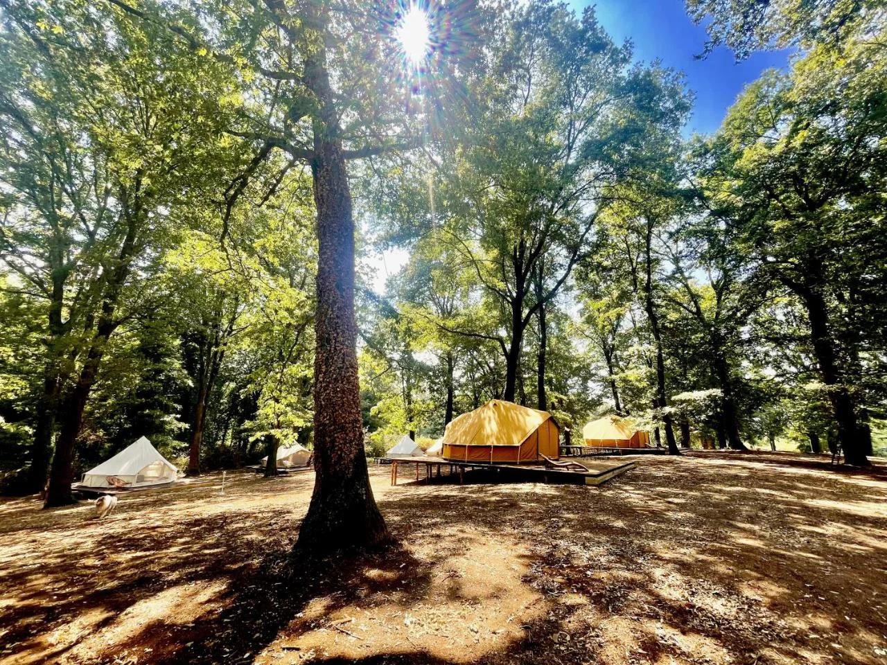 OAK Glamping Relax photo
