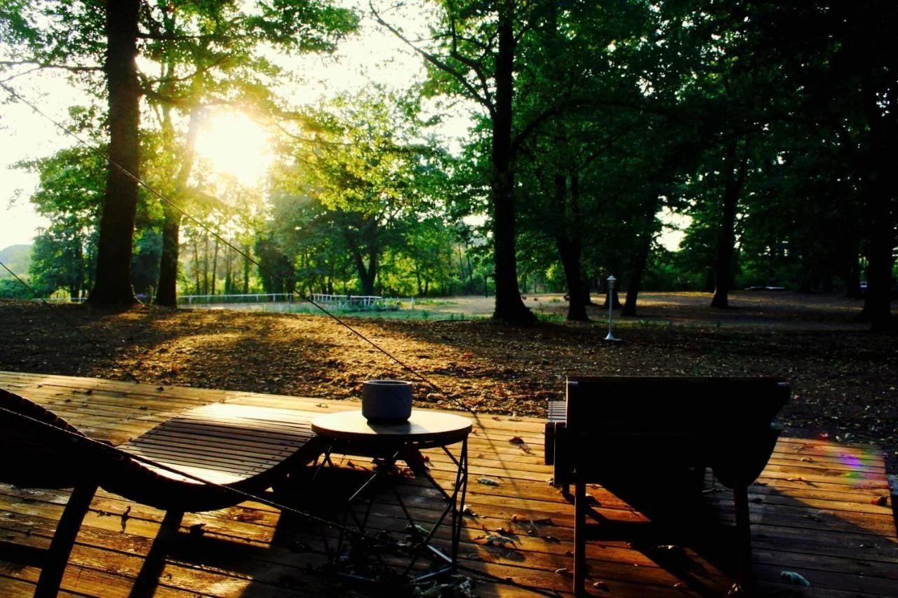 OAK Glamping Relax photo