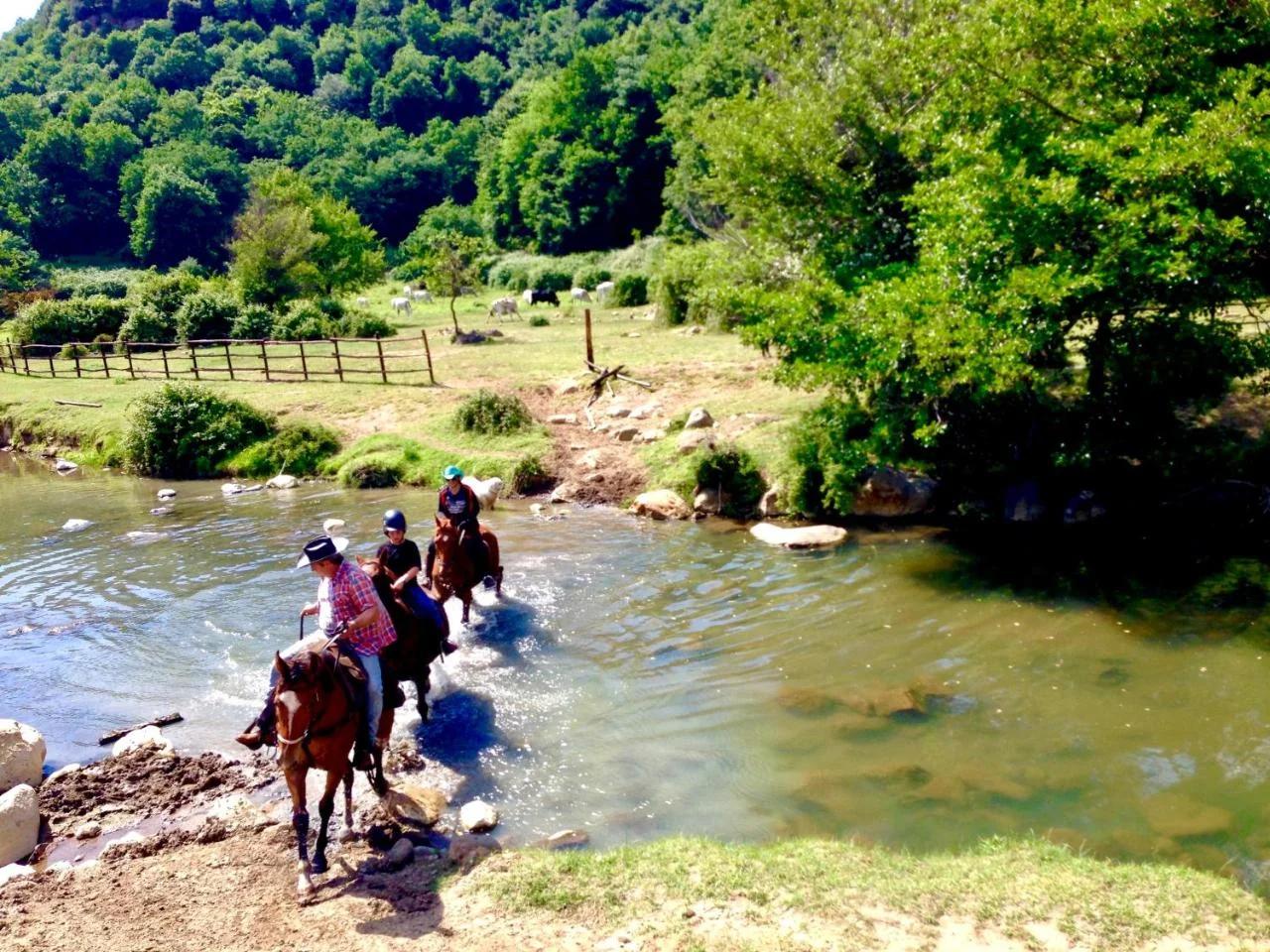 OAK Glamping Relax photo