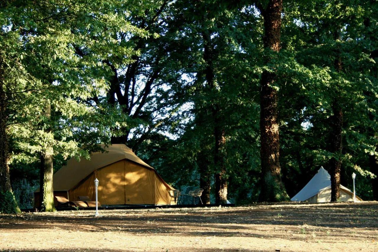 OAK Glamping Relax photo
