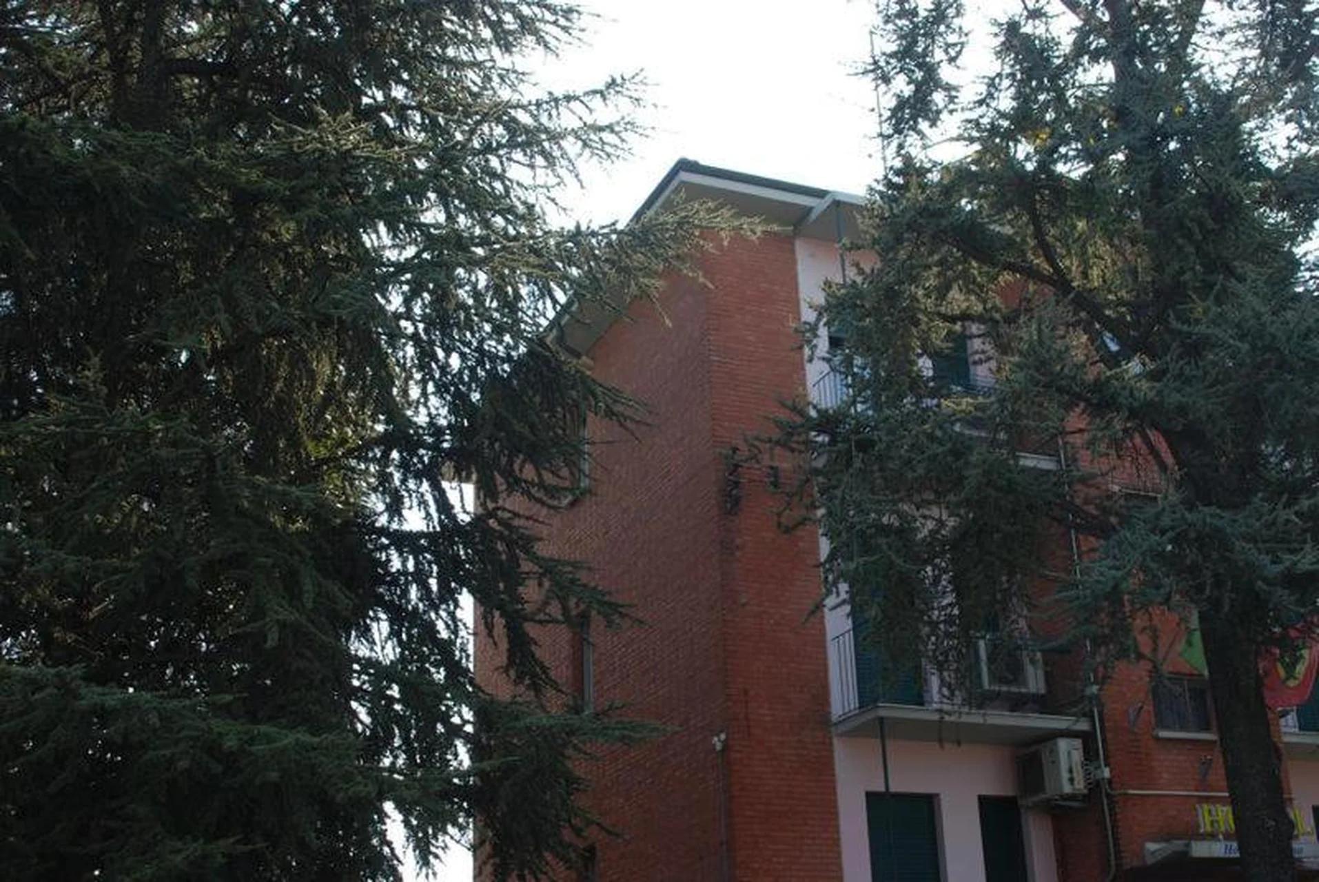 Hotel Tuscolano foto